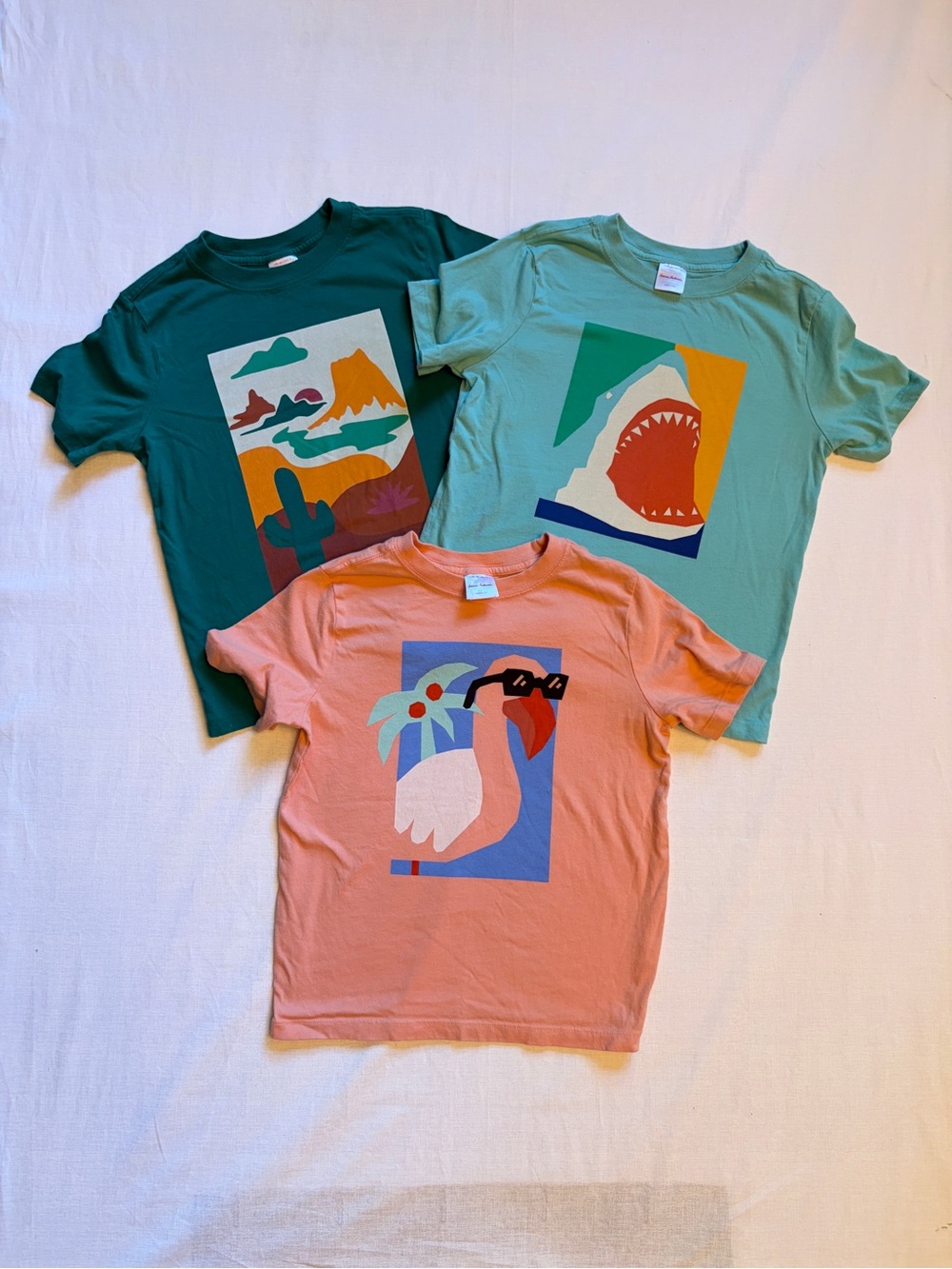 Hanna Andersson Coral, Teal & Deep Teal Graphic Tee Set. Kids size 6